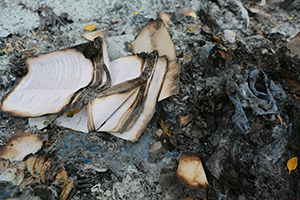 burned document that cannot be replaced